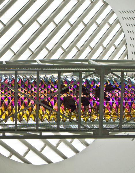 2008-02-19-Misc-0724