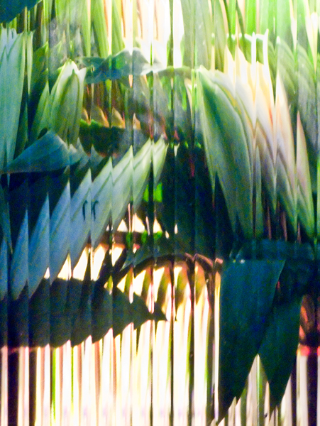 2008-02-20-Misc-0750