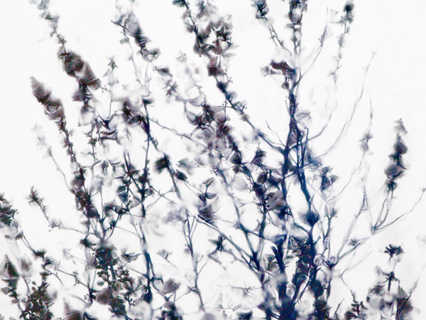 2008-02-23-Misc-0810