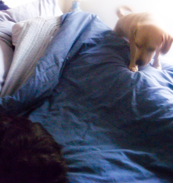 2008-02-26-Misc-0818