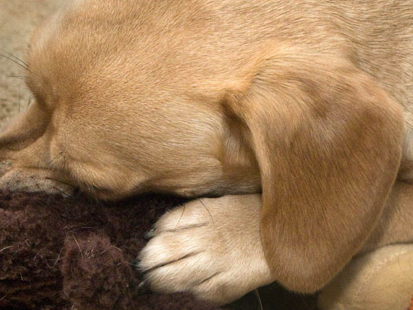 2008-02-29-Misc-0893-2