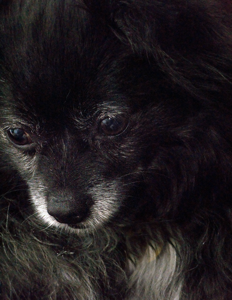 2008-02-29-Misc-0914