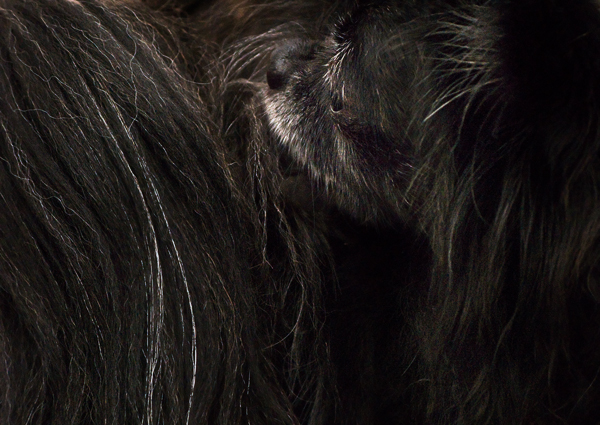 2008-02-29-Misc-0916-2