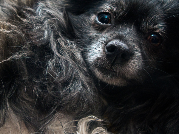 2008-02-29-Misc-0927