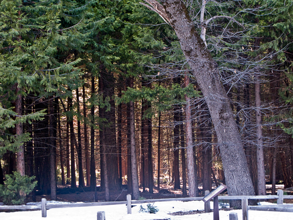 2008-03-03_2--Yosemite-0996