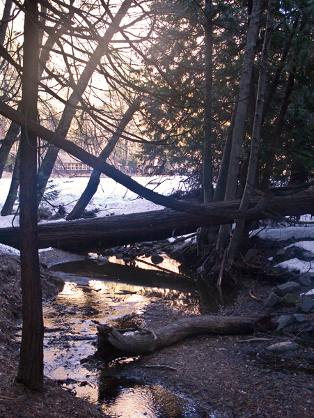 2008-03-03_2--Yosemite-1015