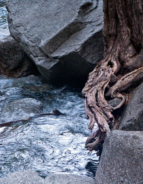 2008-03-03_2--Yosemite-1051