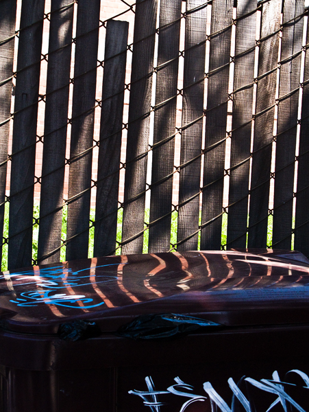 2008-03-30-Misc-1559