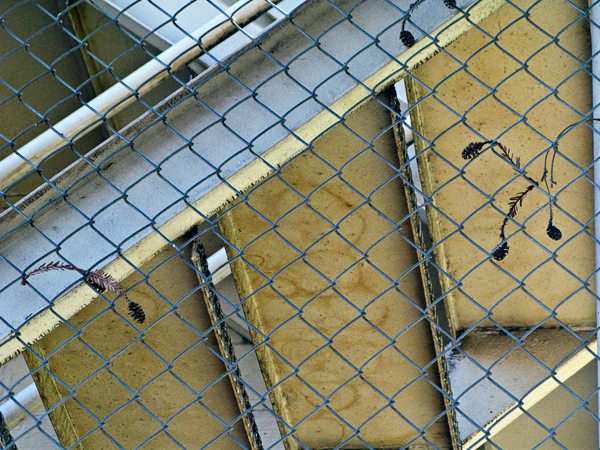 2008-03-30-Misc-1560