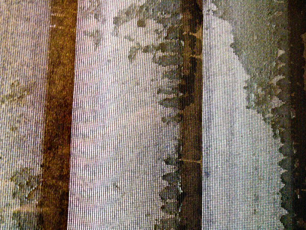 2008-03-30-Misc-1570