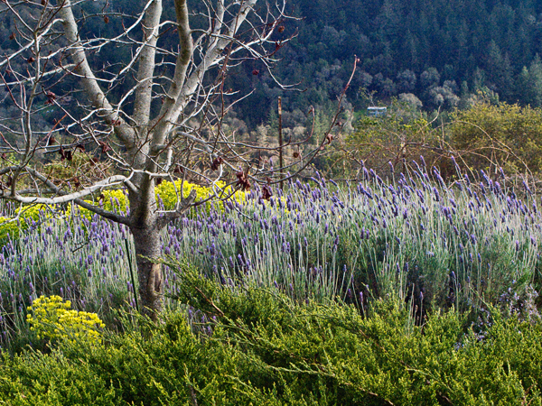 2008-04-07-Misc-1639