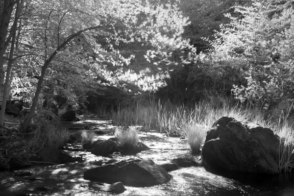 2008-04-12-Misc-2605H