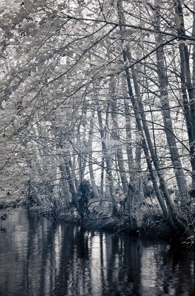 2008-04-12-Misc-2648