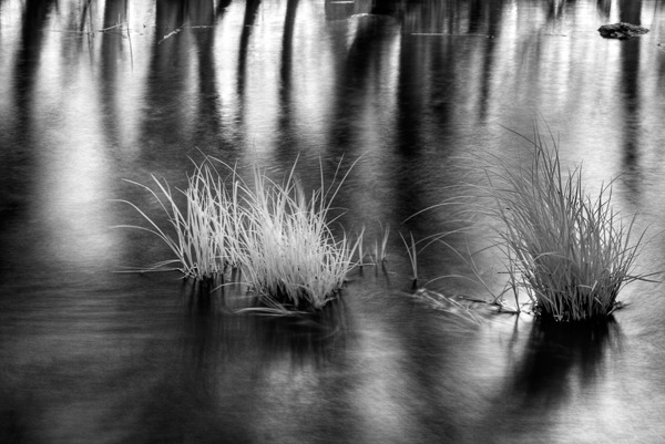 2008-04-12-Misc-2669H