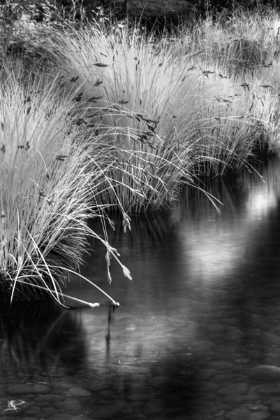 2008-04-12-Misc-2775H