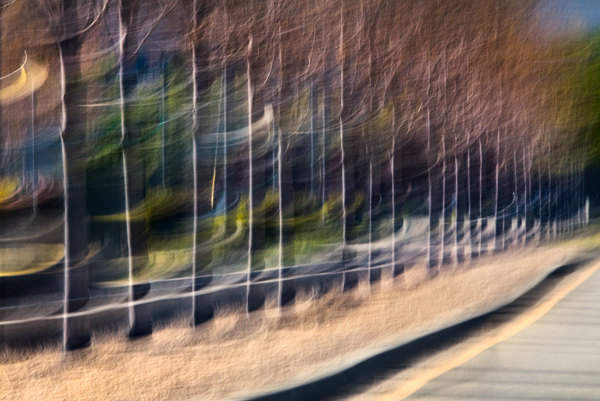 2008-04-19-Fremont-6190