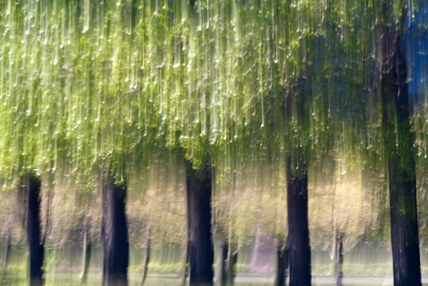 2008-04-19-Fremont-6202