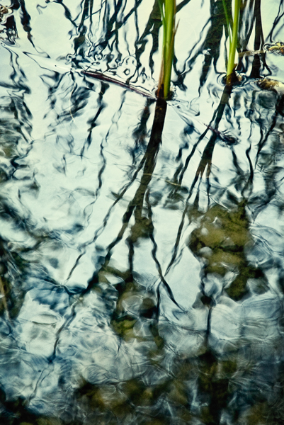 2008-04-19-Fremont-6519