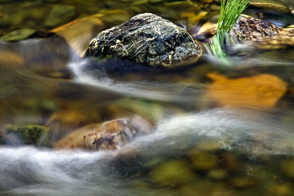 2008-04-19-Sunol-6458H
