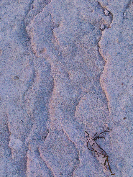 2008-05-02-NitePhoto-1856