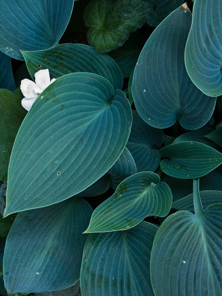 2008-05-12-Misc-2074