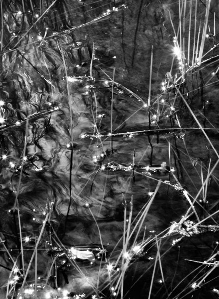 2008-06-01-Sunol-2796