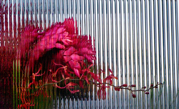 2008-06-11-Misc-2162