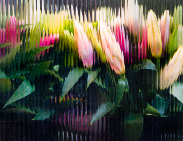 2008-06-11-Misc-2168