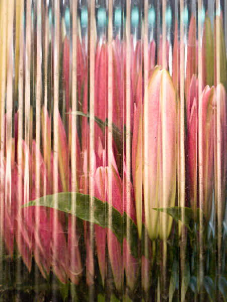 2008-06-11-Misc-2170