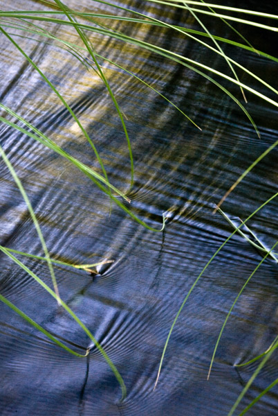 2008-06-15-Sunol-6651