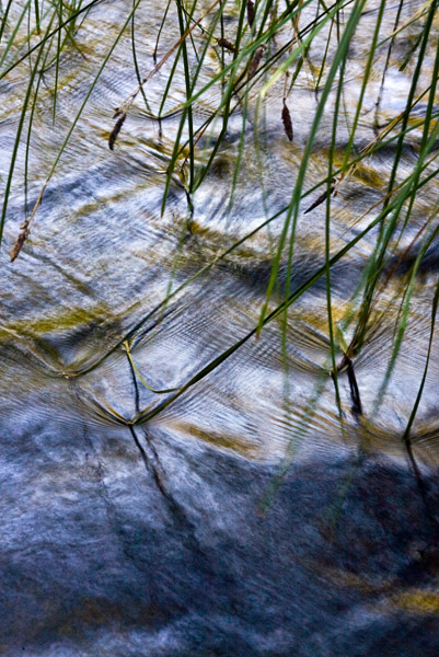 2008-06-15-Sunol-6652