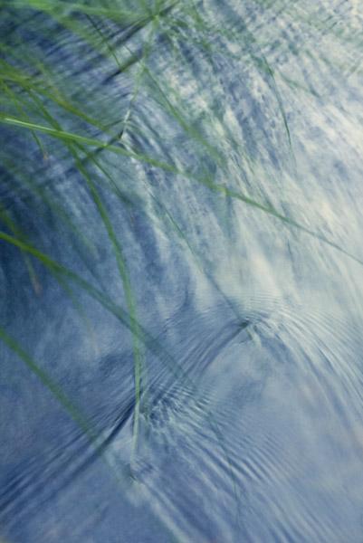 2008-06-15-Sunol-6671
