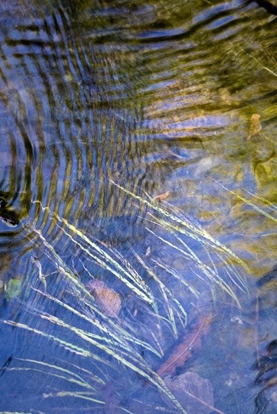 2008-06-15-Sunol-6684