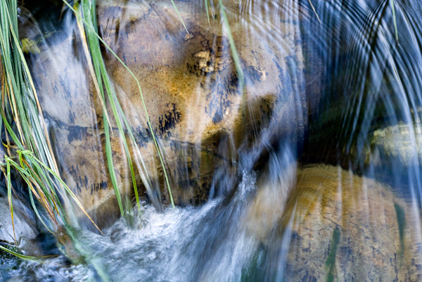 2008-06-15-Sunol-6690