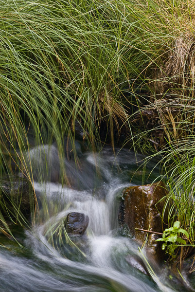 2008-06-16-Sunol-6889