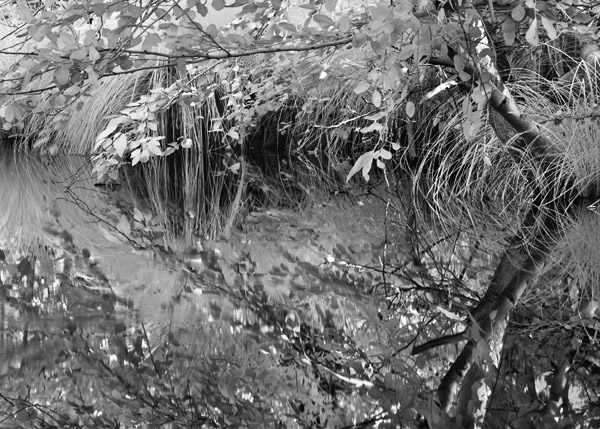 2008-06-22-Sunol-2918