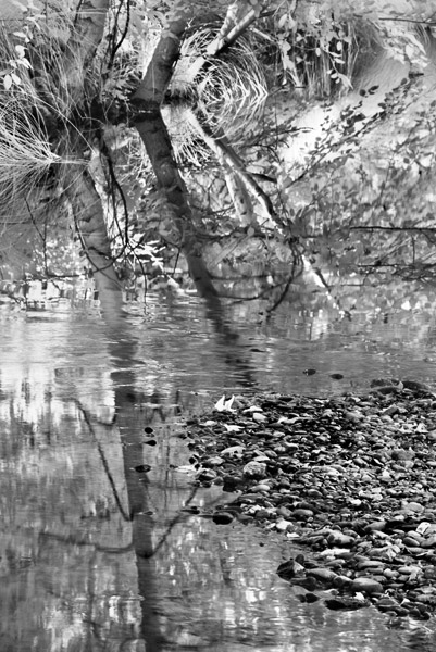 2008-06-22-Sunol-2935