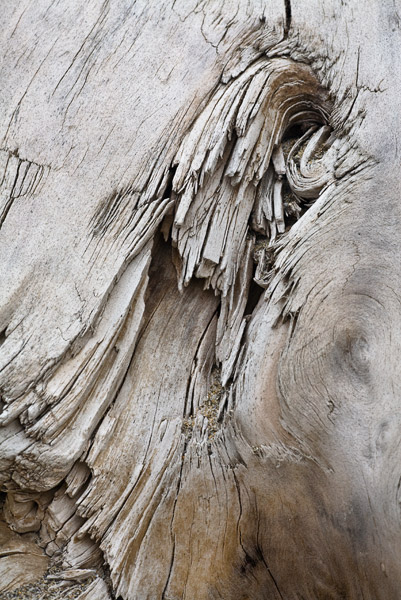 2008-07-19-PebbleBeach-7410