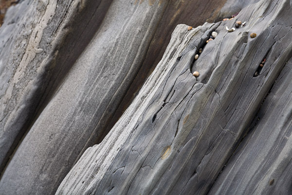 2008-07-19-PebbleBeach-7427