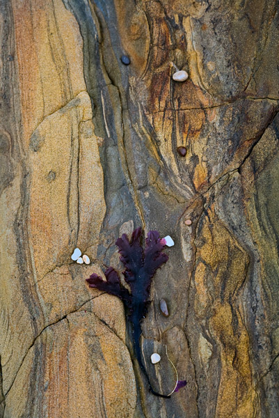 2008-07-19-PebbleBeach-7432