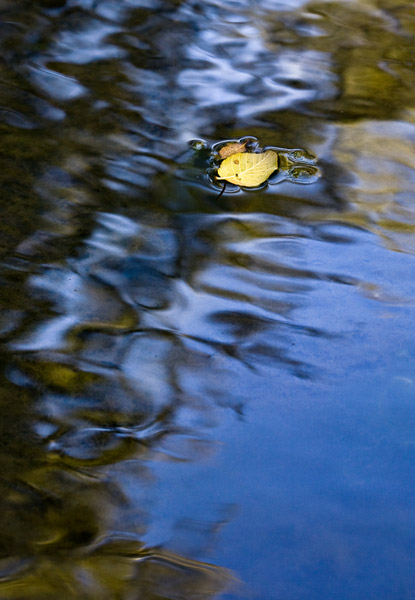 2008-08-09-Sunol-7543