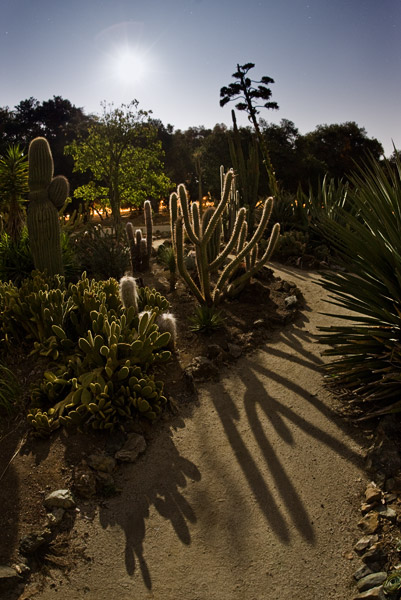 2008-09-13-Stanford-Nite-7922