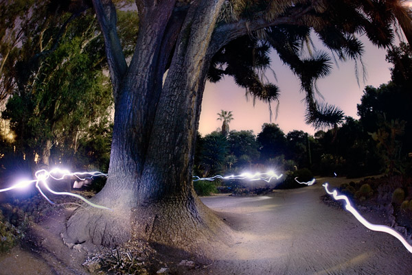 2008-09-13-Stanford-Nite-7930