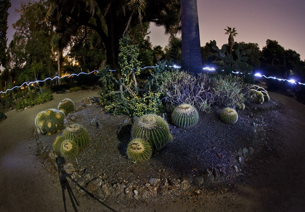 2008-09-13-Stanford-Nite-7935