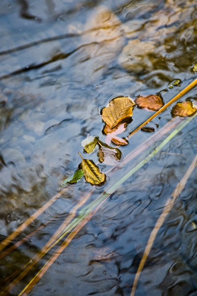 2008-09-13-Sunol-7743
