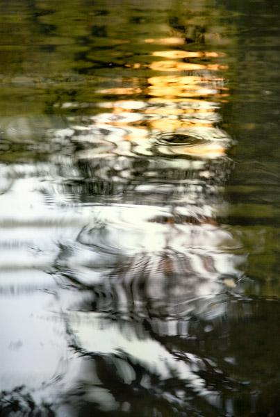 2008-09-14-Sunol-7993
