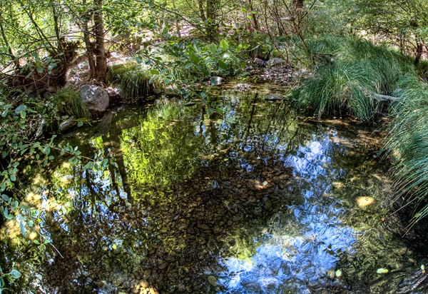 2008-09-20-Sunol-8101H