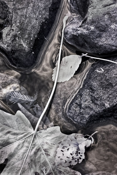 2008-09-28-Gazos-Creek-3079