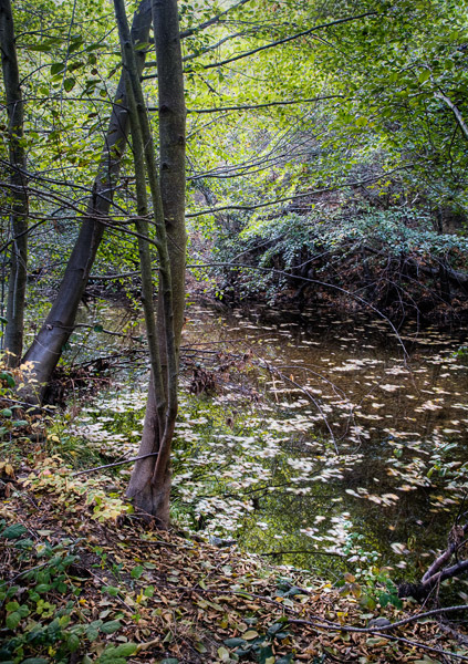 2008-10-19-Sunol-8209H
