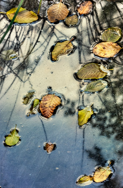 2008-10-20-Sunol-8396H
